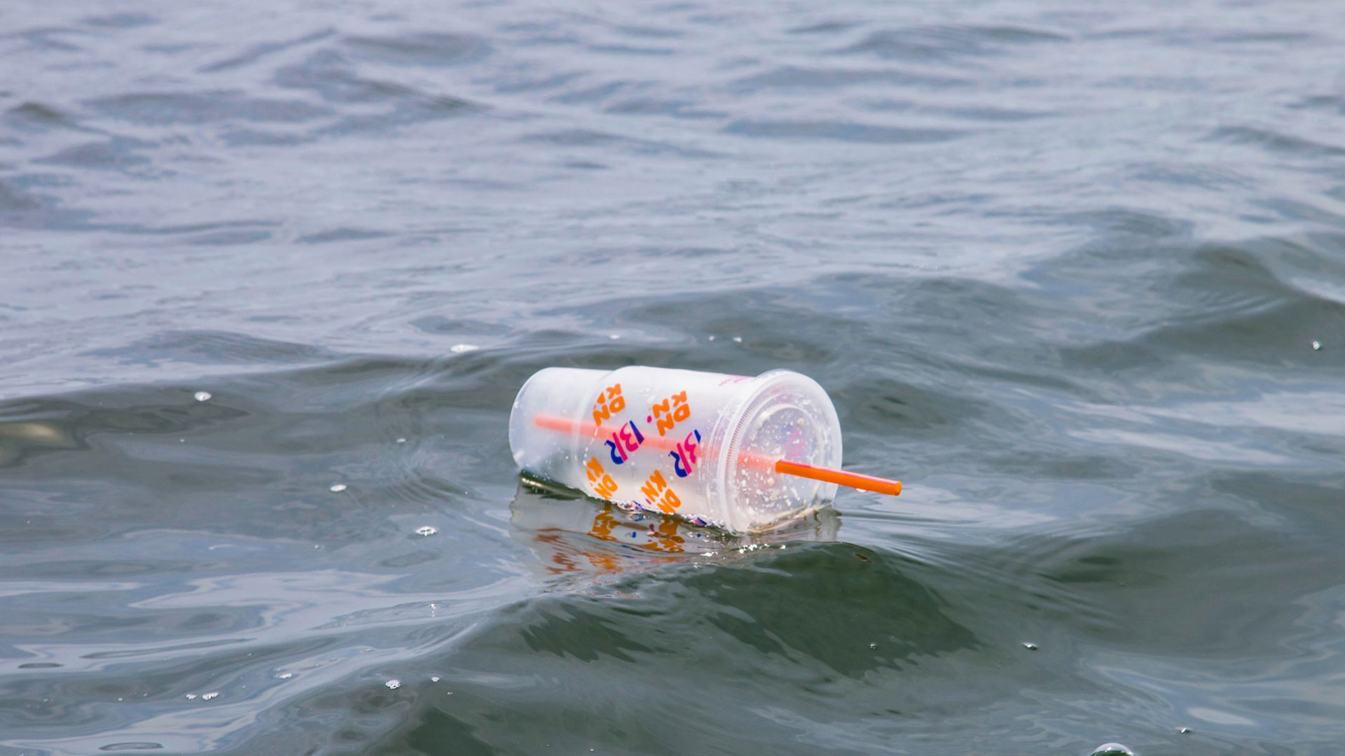 a plastic drinking water cup with a straw discarded in a body of water